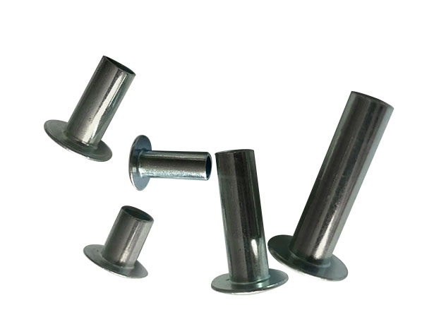 Rivet screw